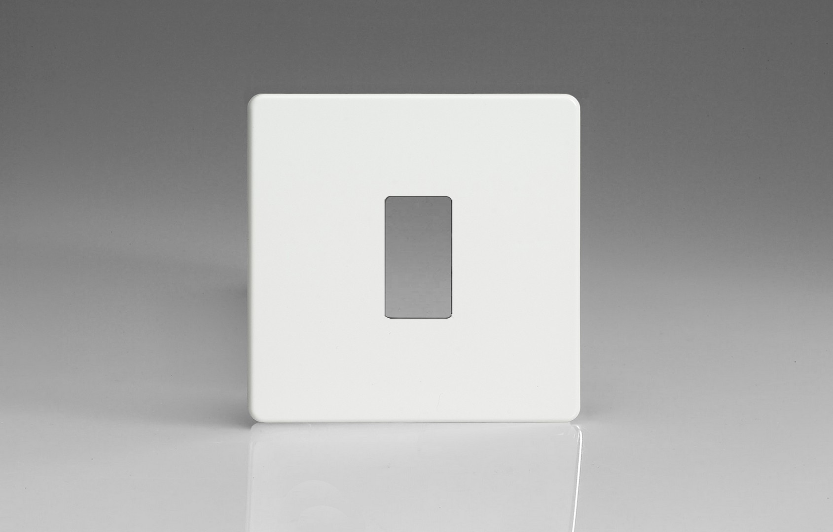 Premium White Plate